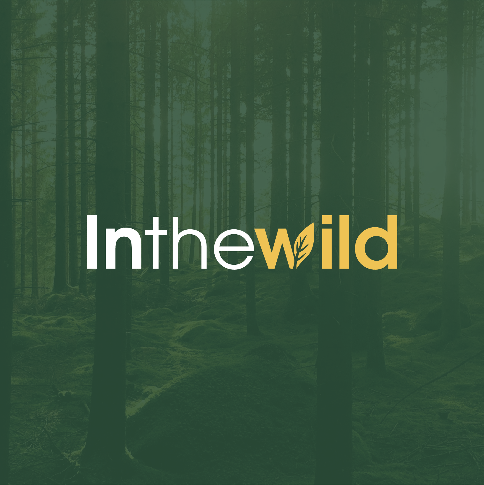 My Website